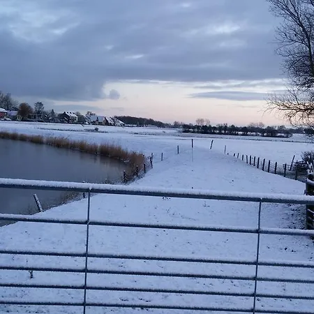 Hollandskroonstee